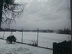 Ostarva