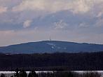 Kvasice