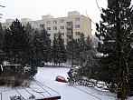Borovina
