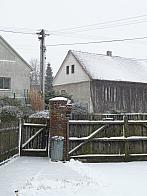 Třibřichy