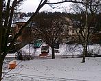 Borovina