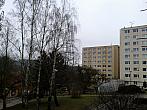 Borovina