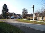 Třibřichy