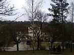 Borovina