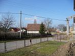 Třibřichy