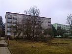 Borovina