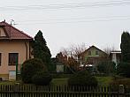 Třibřichy