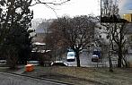 Borovina