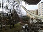Borovina
