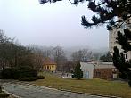 Borovina