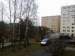 Borovina