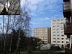 Borovina