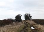 Dětenice-Brodek