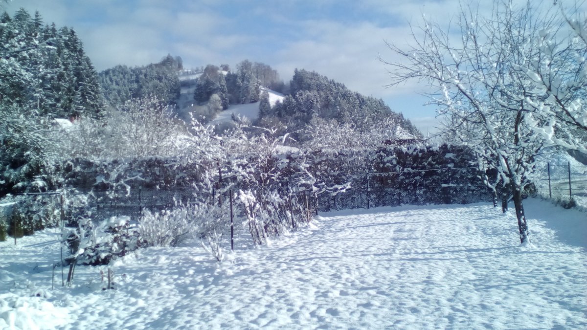 Huslenky