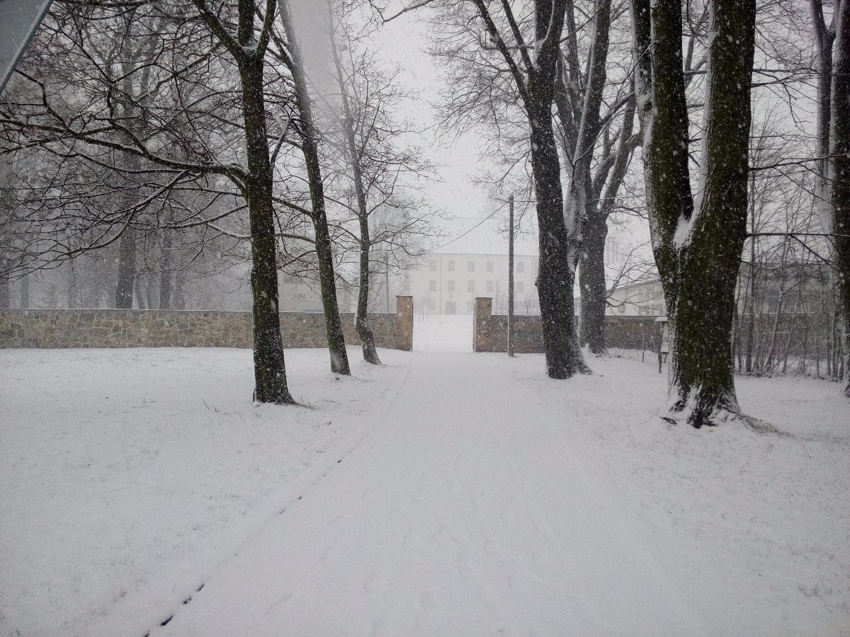 Šluknov
