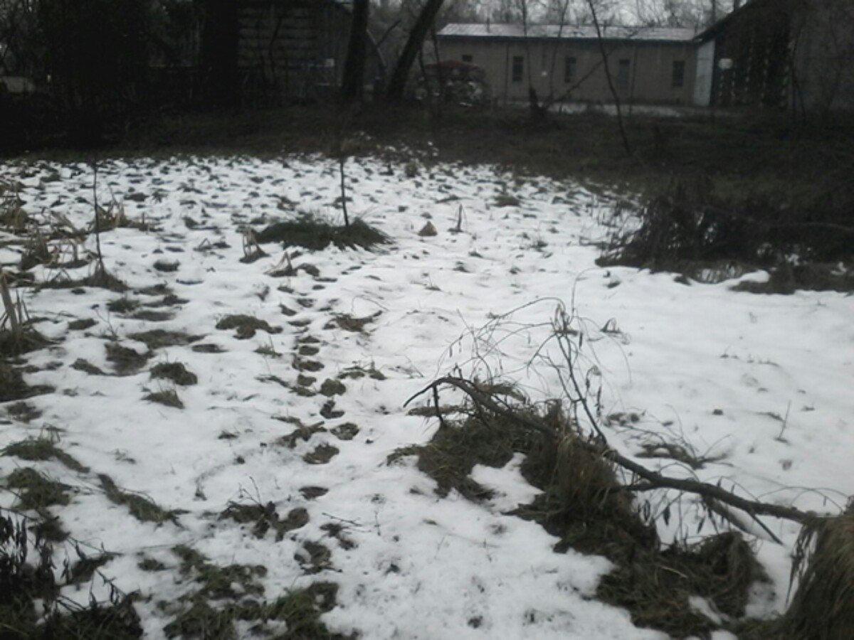 Český Těšín