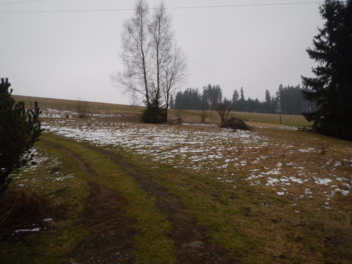 Rokytnice v Orlických horách