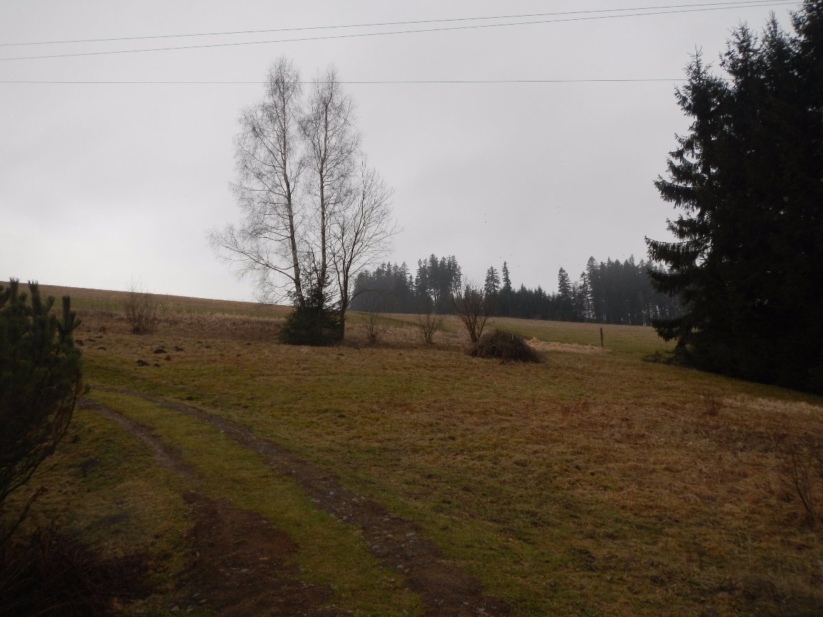 Rokytnice v Orlických horách