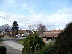 Třibřichy