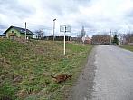 Třibřichy