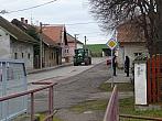 Třibřichy