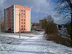 Borovina