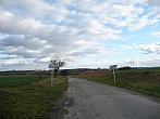 Třibřichy