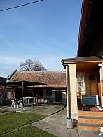 Třibřichy