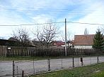 Třibřichy