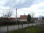 Třibřichy
