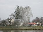 Neratovice
