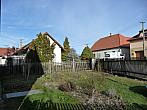 Třibřichy