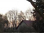 Třibřichy