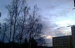 Borovina