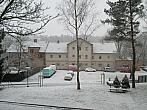 Borovina