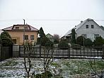 Třibřichy
