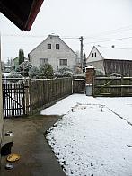 Třibřichy