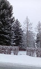 Varnsdorf