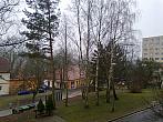 Borovina