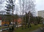 Borovina