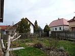 Třibřichy
