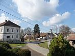 Třibřichy