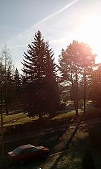 Varnsdorf