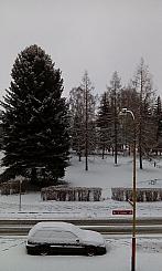 Varnsdorf