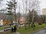 Borovina