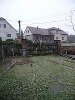 Třibřichy