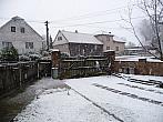Třibřichy