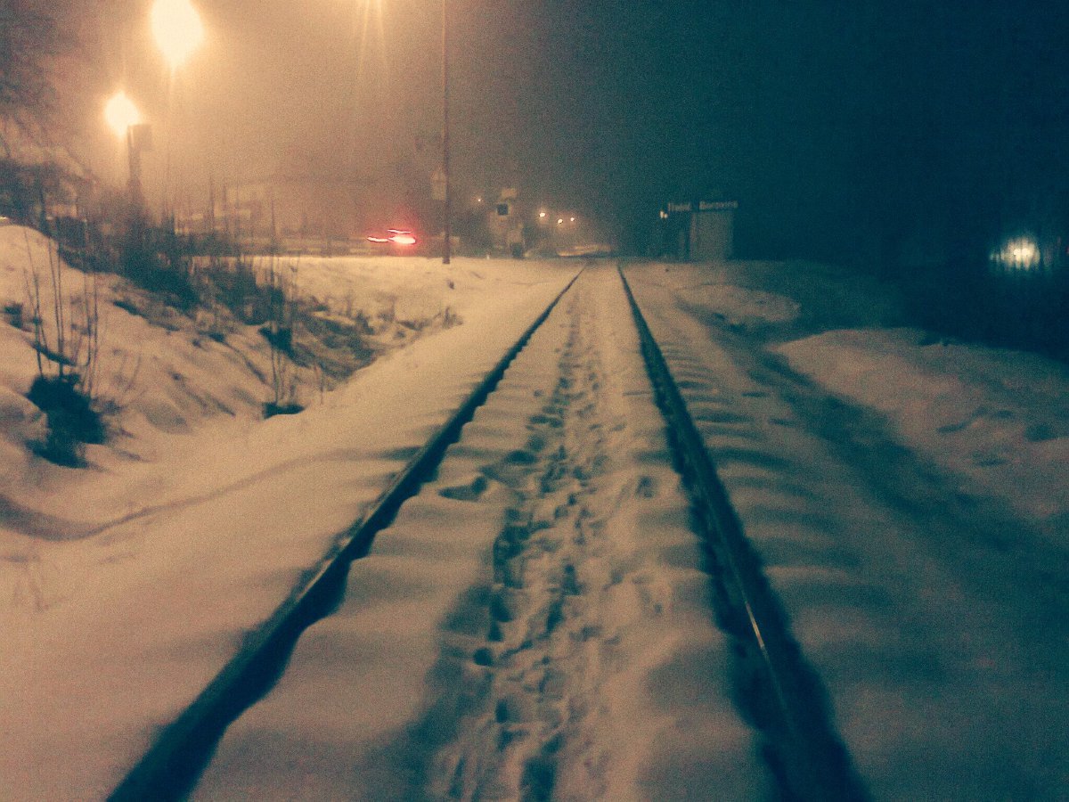 Borovina