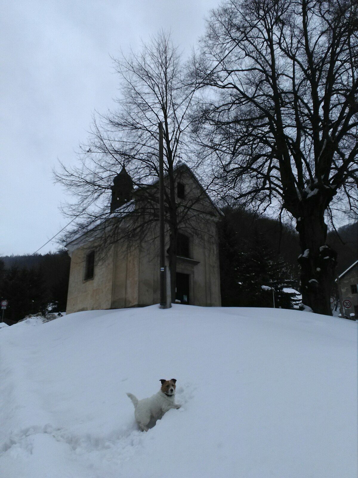 Osek