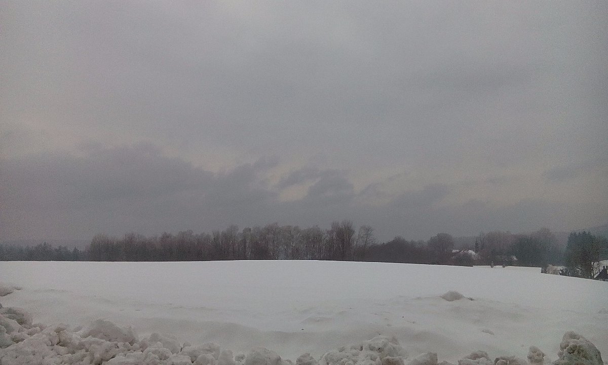 Sněžná